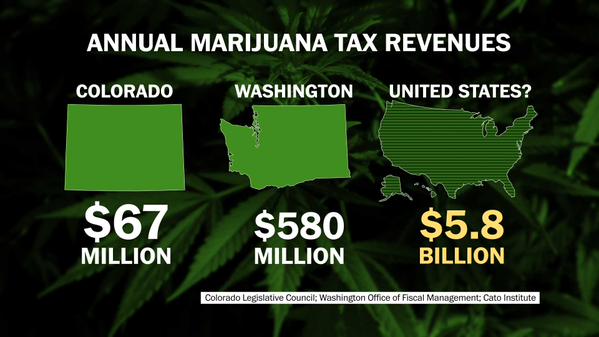 lets_legalizeit's tweet photo. #LegalizeIt http://t.co/o6gKzNfw7O