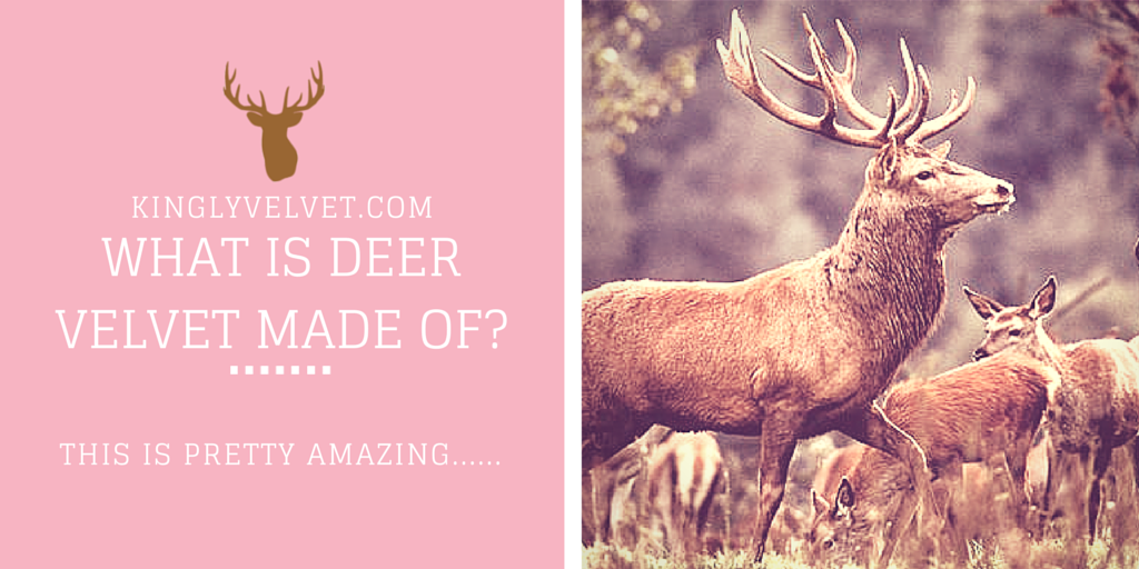 Kingly Velvet tweet media