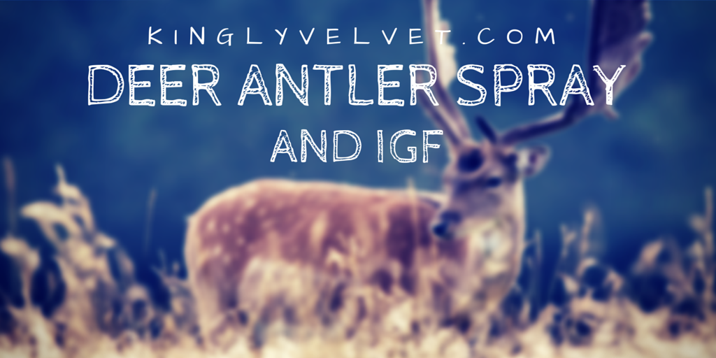 Kingly Velvet tweet media