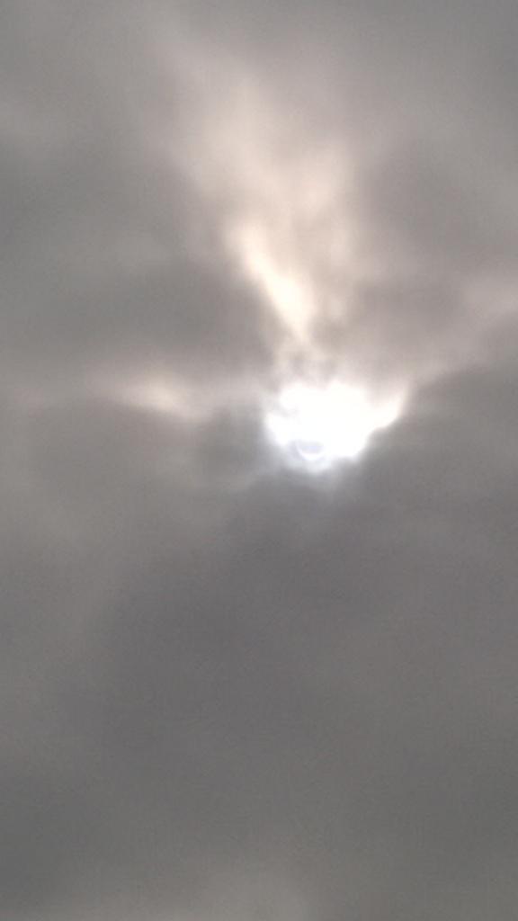 baztheborder's tweet photo. What's all the fuss about? Please hurry up sun, bit cool down here #❤ sunbathing http://t.co/uYv9eSjjna