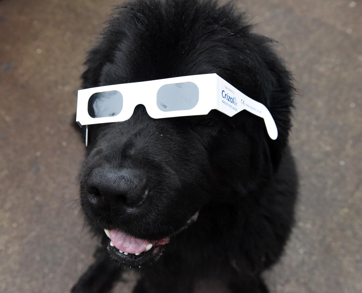 MENnewsdesk's tweet image. Everyone's getting into it. #Eclipse2015