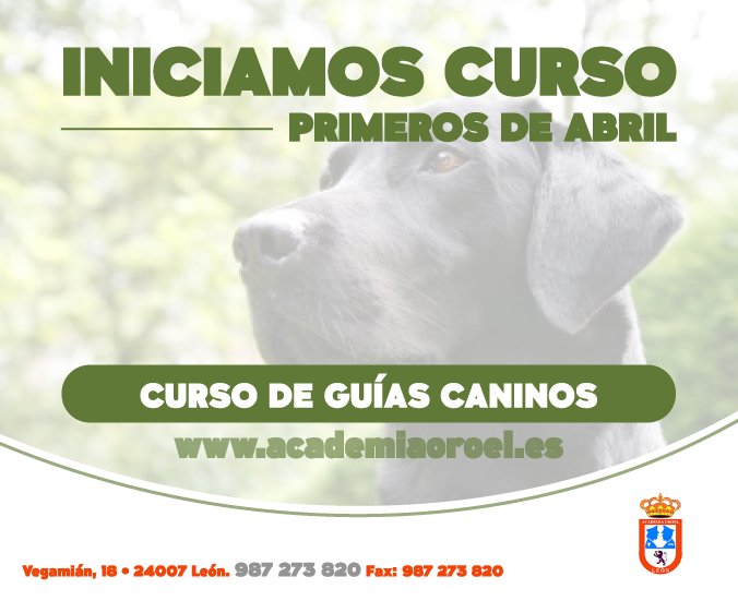 AcademiaOroel's tweet photo. Iniciamos en la Academia a primeros de Abril curso de guías caninos en #leonesp consultar + información 987 273 820 http://t.co/WZHQ2lyVtV