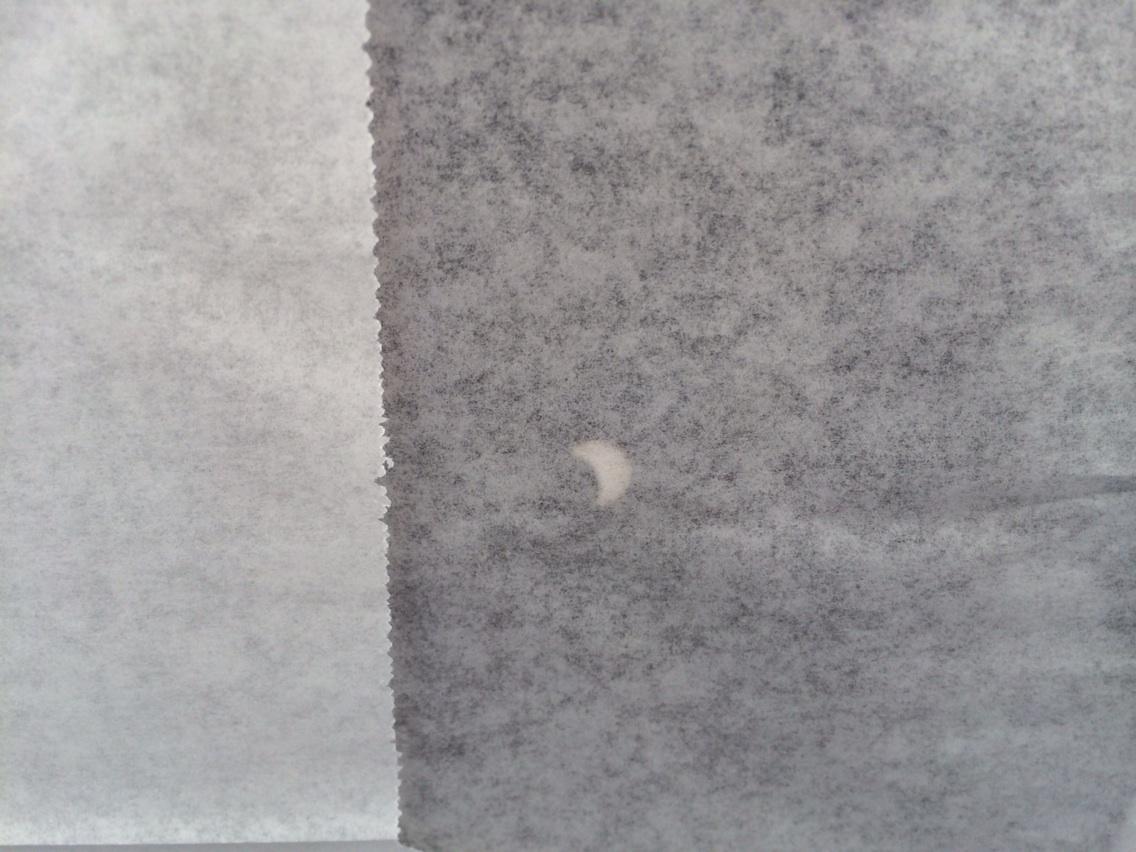 Maria Marquart tweet media