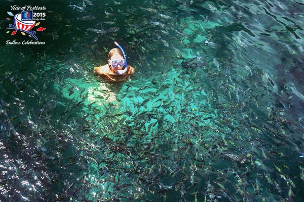 MalaysiaJao's tweet photo. The #sprinklings of #jade #green #islands that make up #Pulau #Payar is the best place to go #snorkeling . http://t.co/nBbrUmhfga