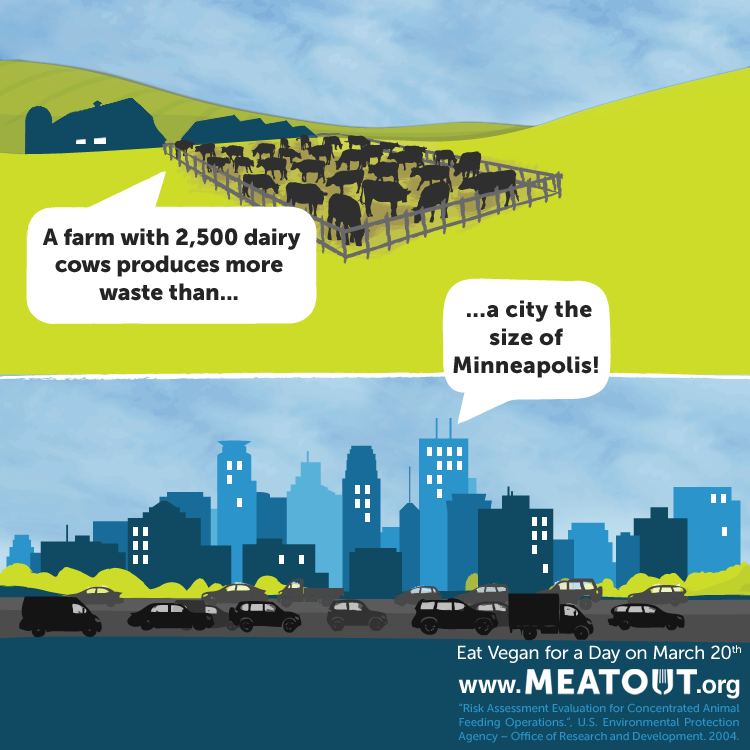 VeganRoo's tweet photo. Meatout #govegan #farm365 #americalovesbacon #getreal #Agweek2015 #climatechange #environment #pollution #Ethics http://t.co/M4Tvafse01