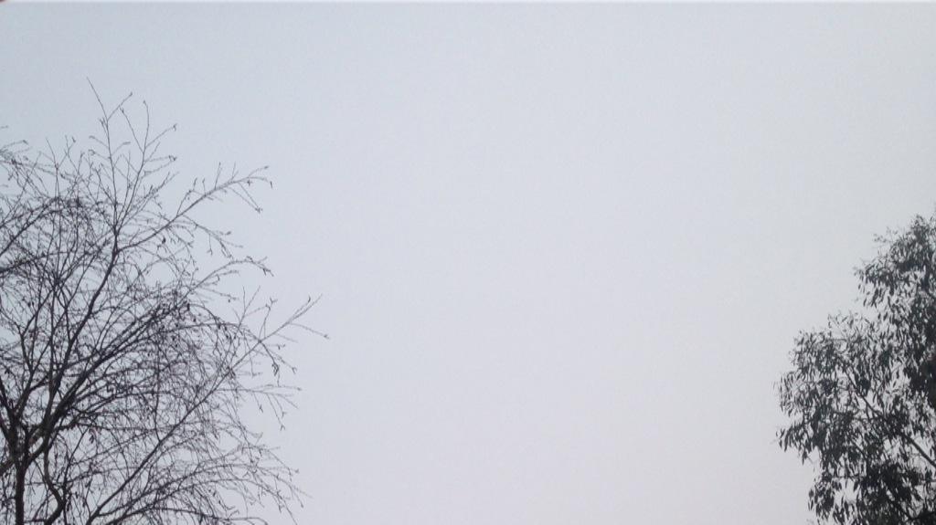 schmouf's tweet photo. A Paris, une éclipse totale, c quand les particules de diesel sont dans l'alignement parfait de l'éclairage public. http://t.co/Qq0VZ01FTc