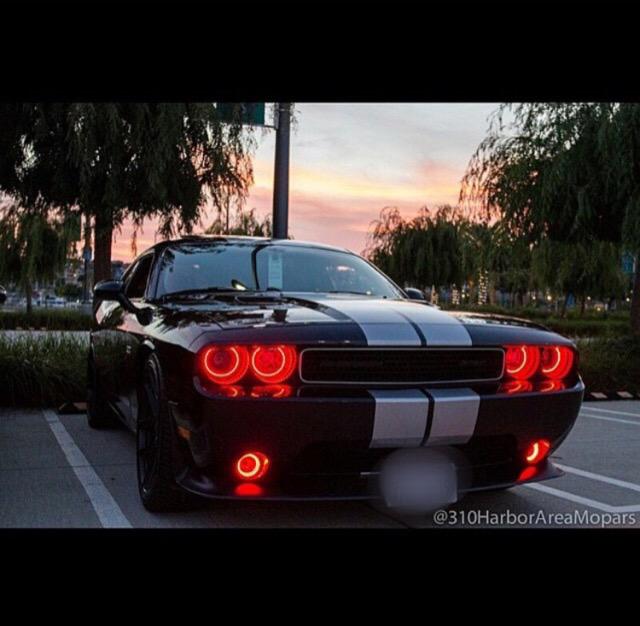 BallA310's tweet photo. 🌅🌇☀️ That #Mopar Life @310mopars @OfficialMOPAR @driveSRT @SRTporn @musclecarsdail1 @Moparunlimited @OracleLights http://t.co/vDN4sleO86