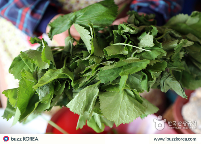 ibuzzkorea's tweet photo. [K-Culture]
One longevity secrets from Korea is eating a diet rich in vegetables! #ibuzzkorea http://t.co/zS24BpagWB