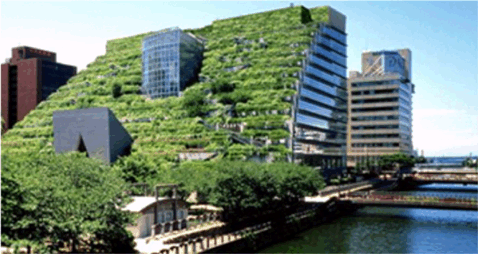 ClimateRevcynth's tweet image. France decrees new rooftops must be covered in plants or solar panels theguardian.com/world/2015/mar…