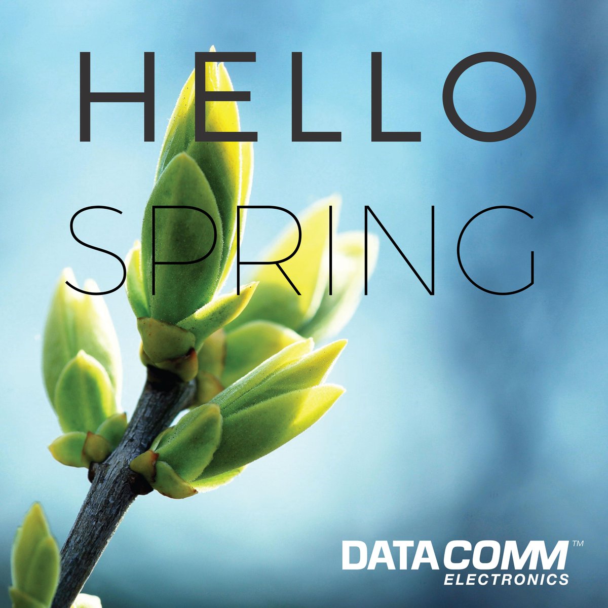 DataCommE's tweet image. So long old man winter. #spring #march #warm #sun #green #life #Season #hello