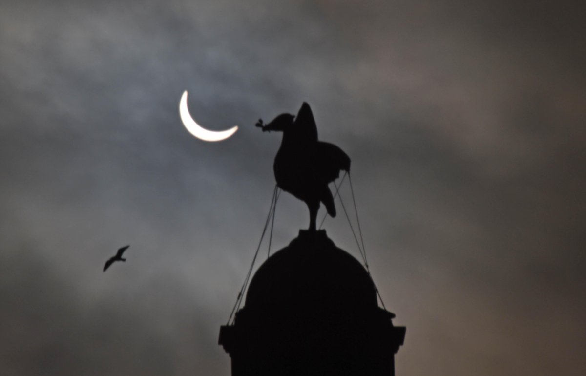 LivEchonews's tweet photo. Great shot of the Liver Building during #eclipse2015. Keep tweeting us your pics! http://t.co/WIzVonMBw1 http://t.co/DsGJFbnyAy