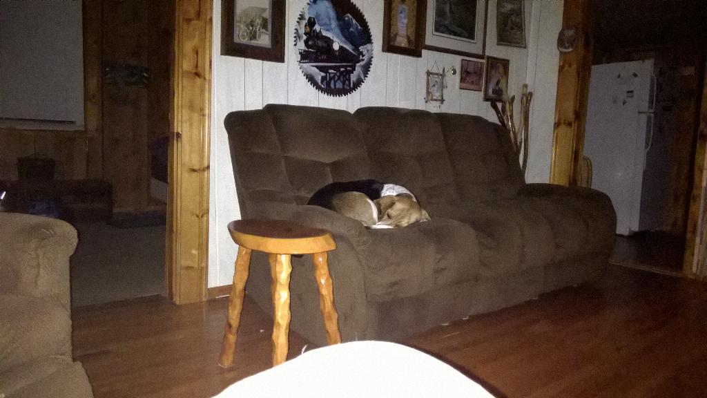 hound_man tweet picture