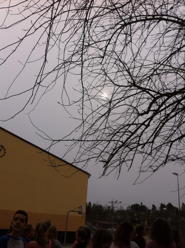 alexanderuggla1's tweet photo. Tittar på solförmörkelse #enskoldag http://t.co/XlOZG5EA7B