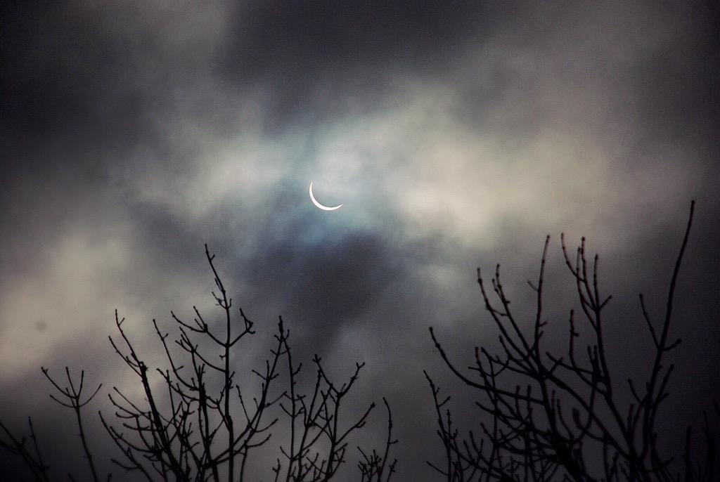 ForestryLS's tweet photo. Some fantastic pictures taken at FC #edinburgh by our own Barry Hearse. Aren't they wonderful? #SolarEclipse http://t.co/FPlHrPpFoS
