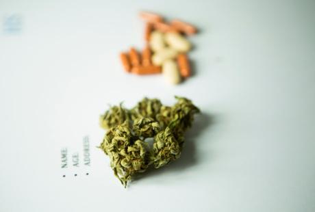 Tak Cuma untuk Manusia, Ganja Medis Kini Juga Diperjuangkan untuk Hewan detik.id/VITUQc via <a href="/detikHealth/">detikHealth</a>