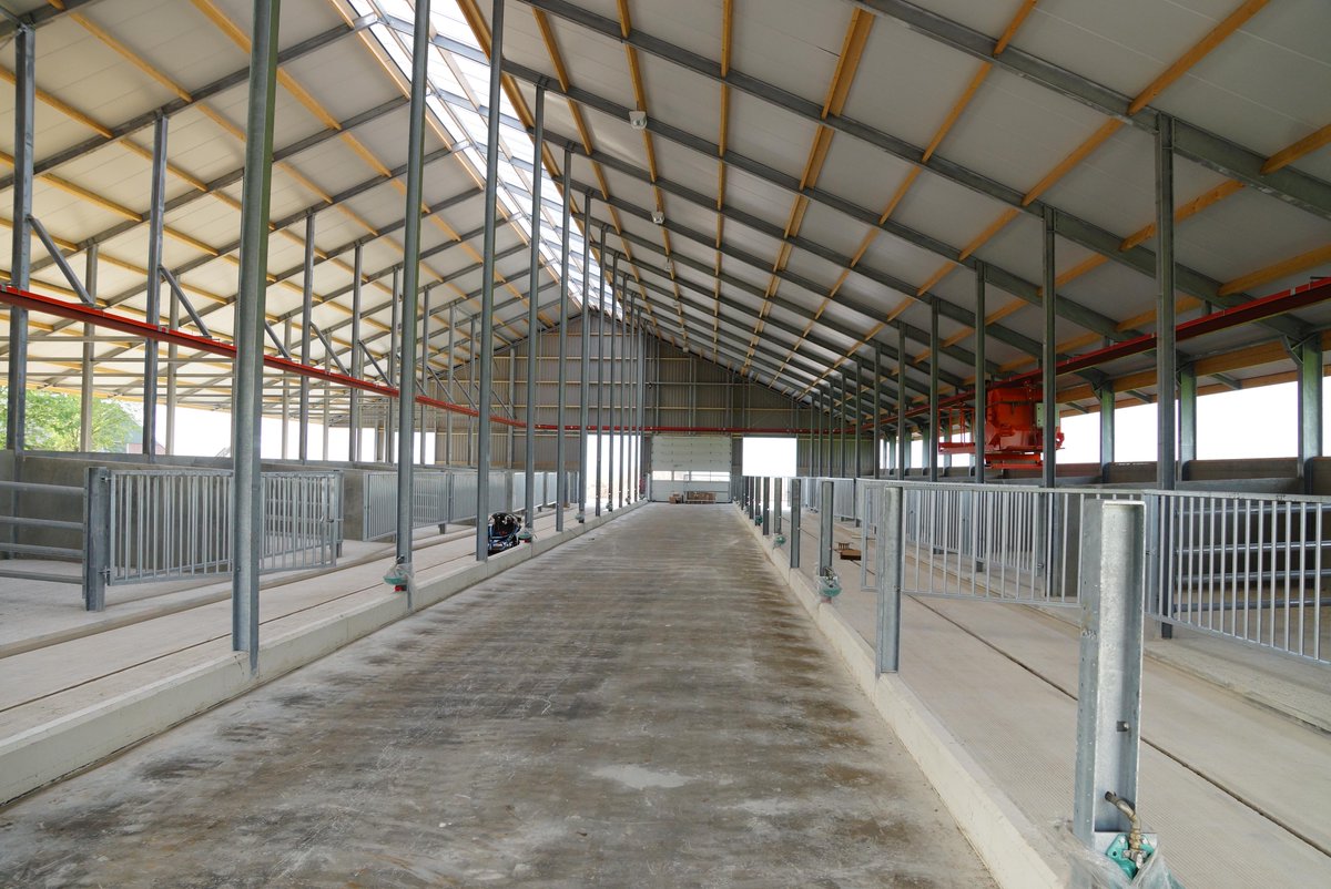 vanmiddag #opendag nieuwe #hellingstal Fam. #Peltjes a/d van #Roijensweg 73 te #bergentheim #blonde #daquitaine #vee