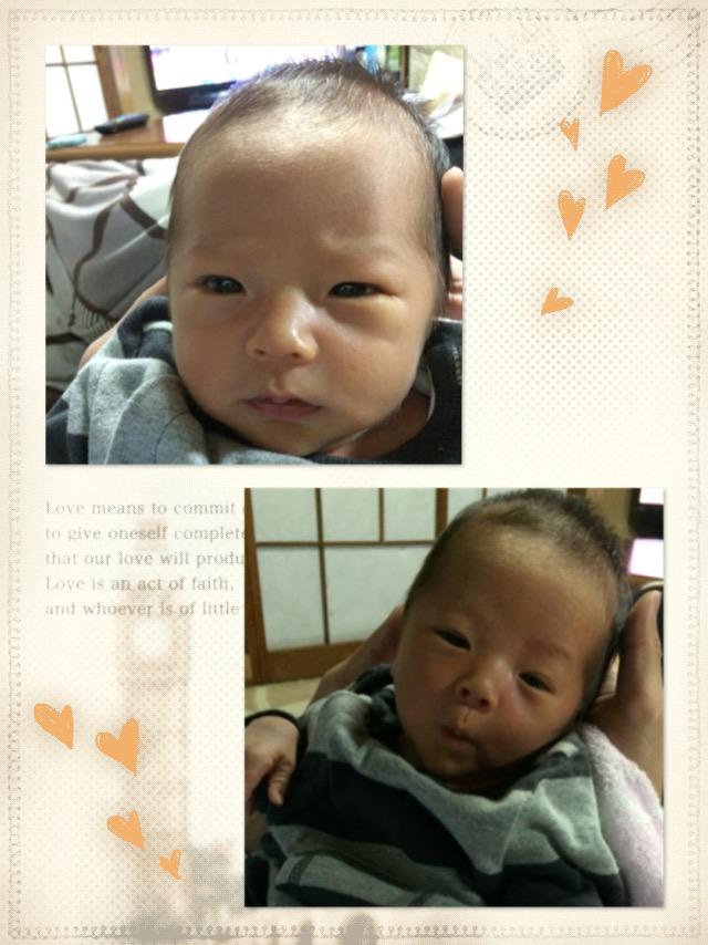 ゆみちゃんぽん yumichanpon Twitter