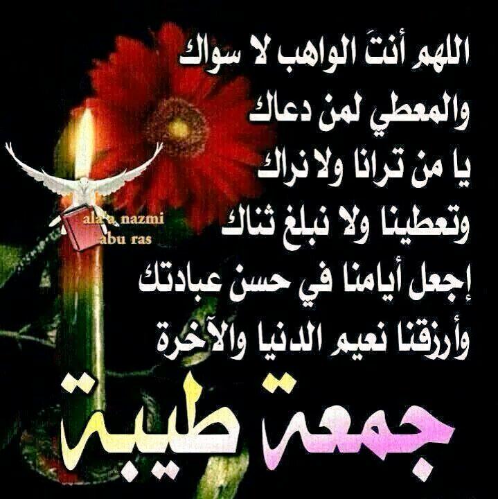 سوزانا المصرية tweet media