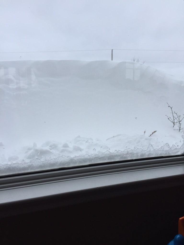 BeccaBranton's tweet image. @CTVCanadaAM not so much. This is my front window. #nospringhere