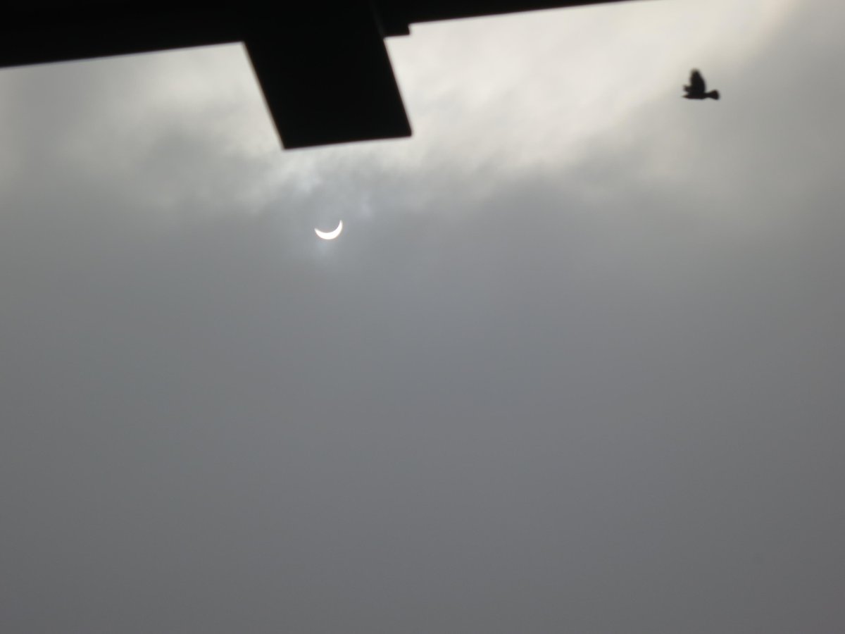 #zonsverduistering Kessel-lo