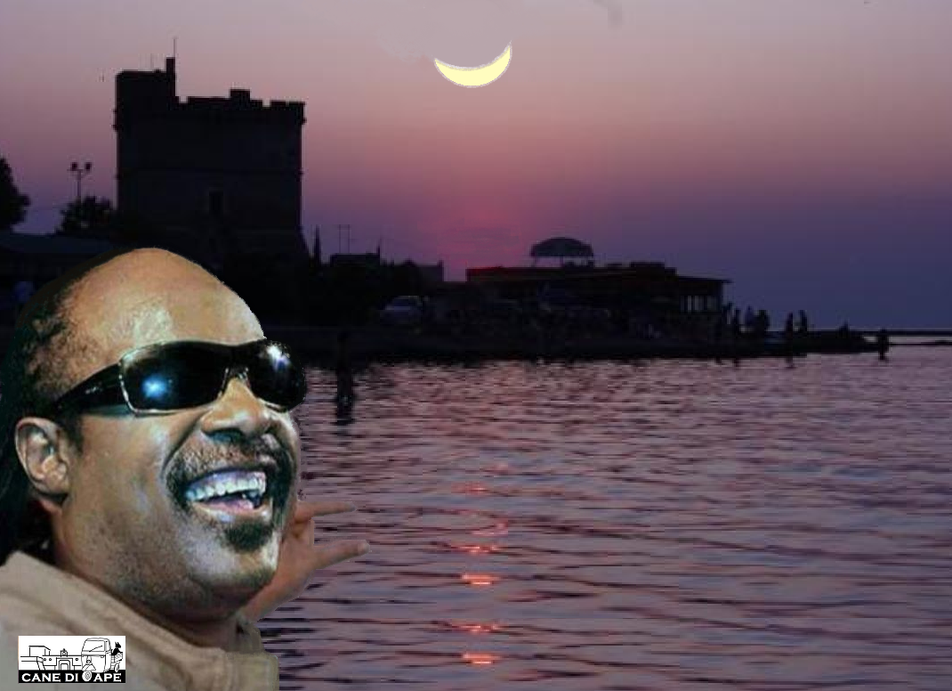 CANEdiAPE's tweet photo. #Eclissi #EclissiSolare #SantIsidoro #Nardò #Copertino #Lecce #Detroit #Salento http://t.co/gOf98y0G2h