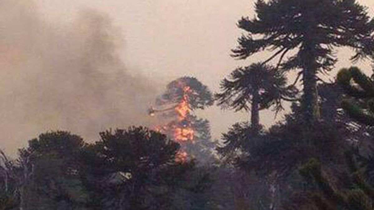 T13's tweet image. Parlamentarios piden que se decrete Zona de Catástrofe por incendio en #Conguillio bit.ly/1ExqQRh