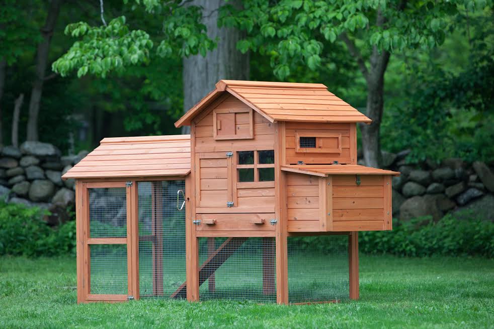 TillysNest's tweet image. Win this chicken coop! A Kid's Guide to Keeping Chickens book tour. @mypetchicken @StoreyPub  bit.ly/1CDR2ib