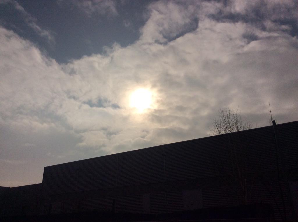 ClassHarkins's tweet photo. We studied the #eclipse2015 by making and using pinhole cameras. @BrianEHarkins @RScottPrimary http://t.co/4VH4DwwmUR