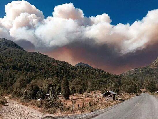 AlejandraSoAc's tweet photo. Es indígnate ver como se queman nuestros bosques nativos y que el gobierno se preocupe mas de seguir robando. http://t.co/OA6hqUz8TH