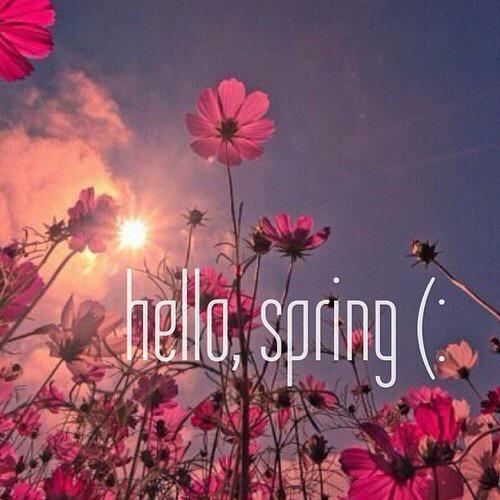 JaclynBabb's tweet photo. Happy First Day of Spring! 🌸🌷🌻🌺🌾🌱🌼 http://t.co/pTAZYxChYl