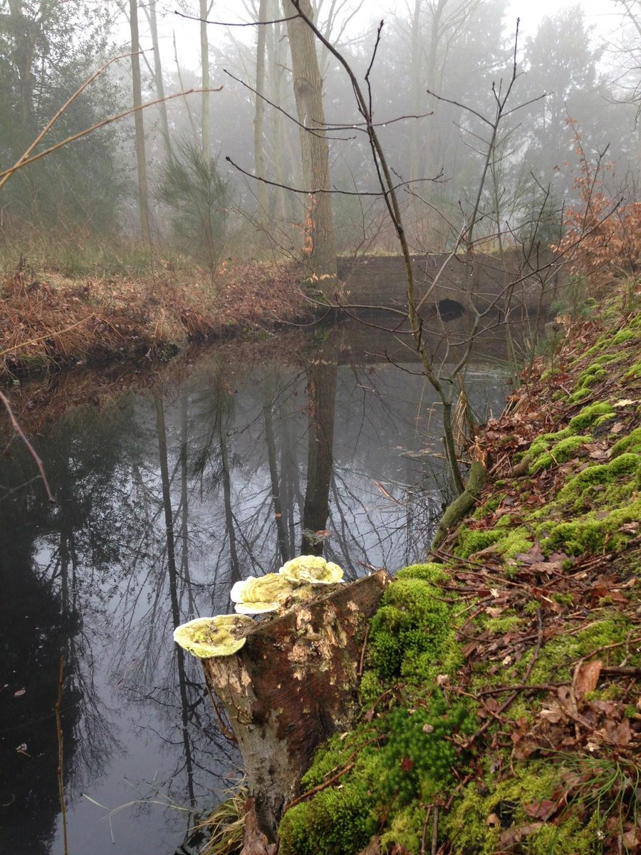Cultuur &amp; natuur vlakbij Natuurpodium op het oude landgoed Goeree. Waardevolle info verzameld voor de expedities!