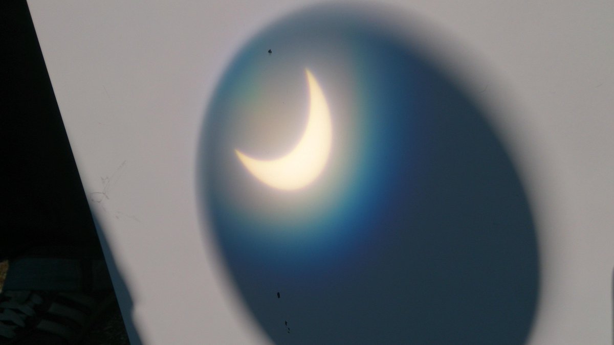 SenStabia's tweet image. #Sofi #bbs1 #Mainz