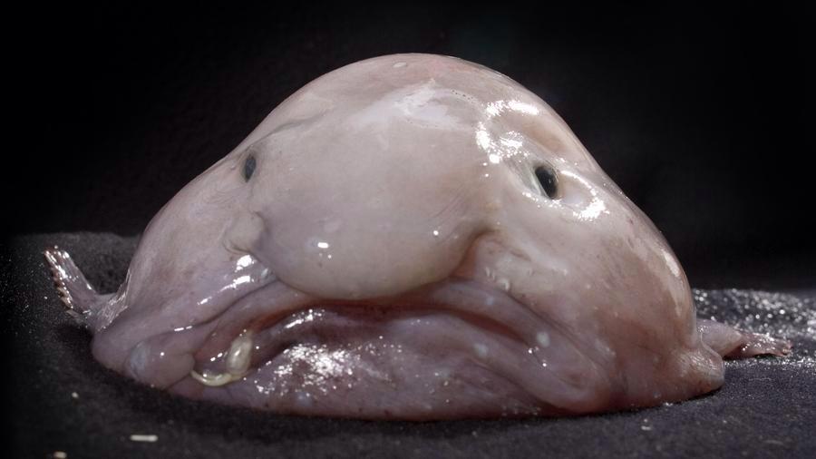 LUU_ZooSoc's tweet photo. When you realise you have a three hour lab on Friday afternoon... http://t.co/KwdveZJvr3