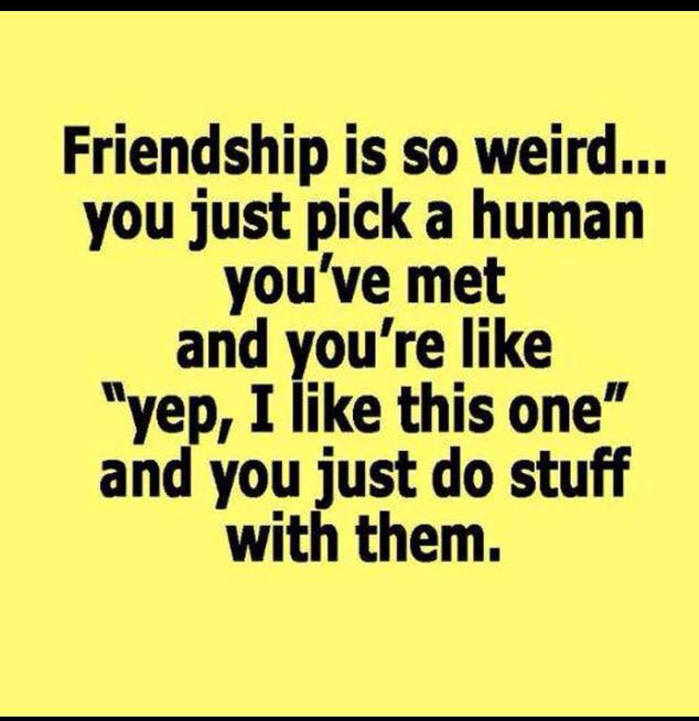LJane171's tweet photo. @katefoxton @SarahBygate  true. http://t.co/srMdyB3ifW