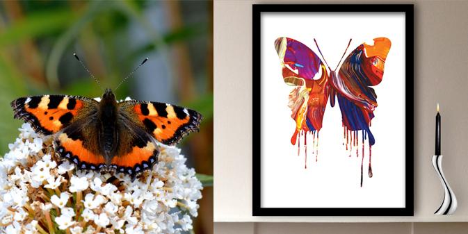 postermode's tweet image. Finding inspiration in nature, the abstract painterly patterns of their wings, inspired our #ButterflyArtPrints