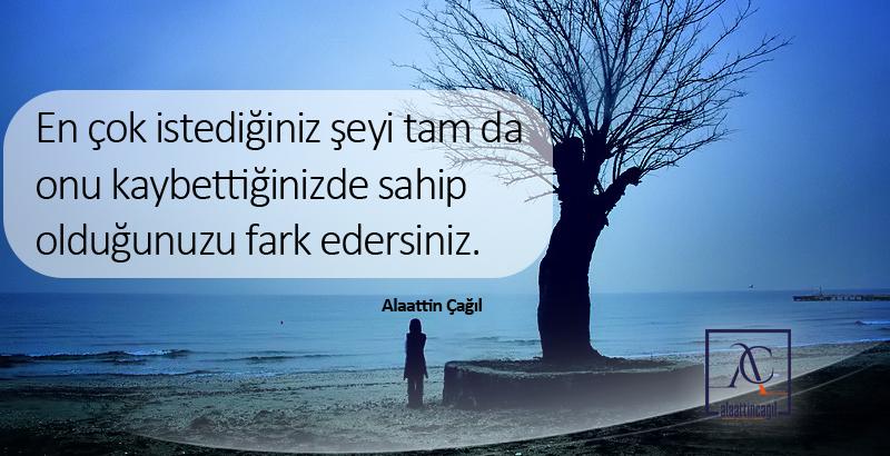AlaattinCAGIL's tweet photo. En çok istediğiniz şeyi tam da onu kaybettiğinizde sahip olduğunuzu fark edersiniz. http://t.co/jwLsOjnScg