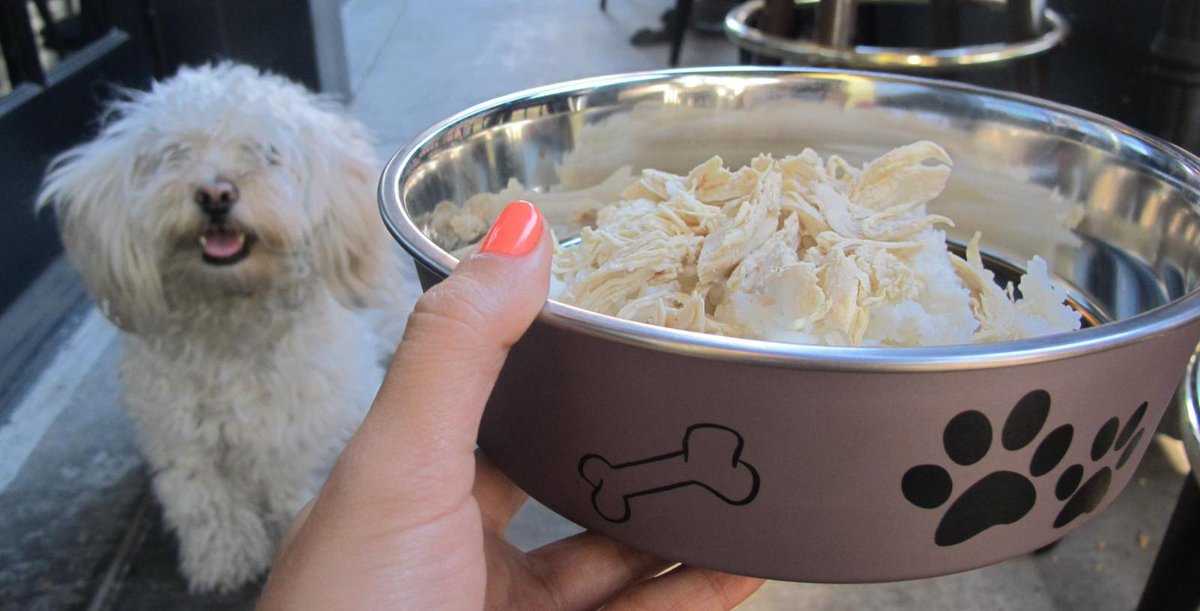 Jenn_Harris_'s tweet image. Los Feliz restaurant @morrisonpubla launched a doggy menu, with dishes for dogs! lat.ms/1AQENZp