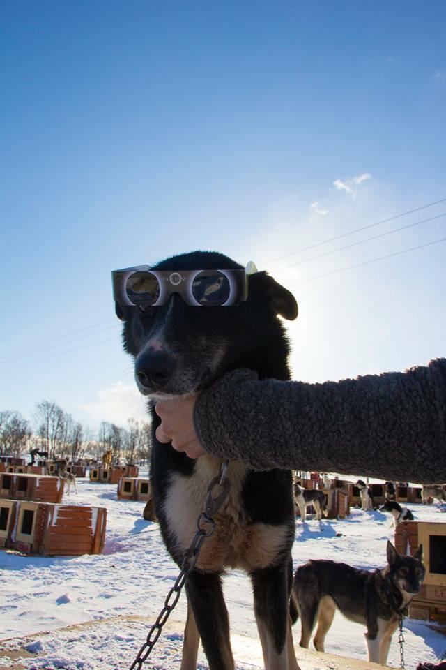 B.Served Scandinavia tweet media