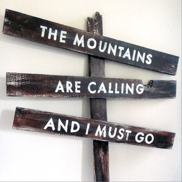 FindTransfers's tweet image. Let's go!