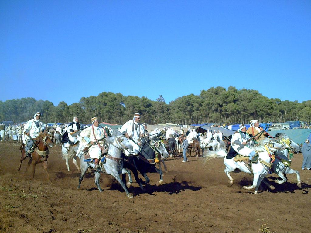 welcomealgeria's tweet photo. Le Mini Tour du Nord-ouest:
 #Tlemcen
Ain #Temouchent
#Mostaganem
#Santa_Cruz
#Sidi_El_Houari
http://t.co/oZKOBrsR8r http://t.co/J2quqLfyAA