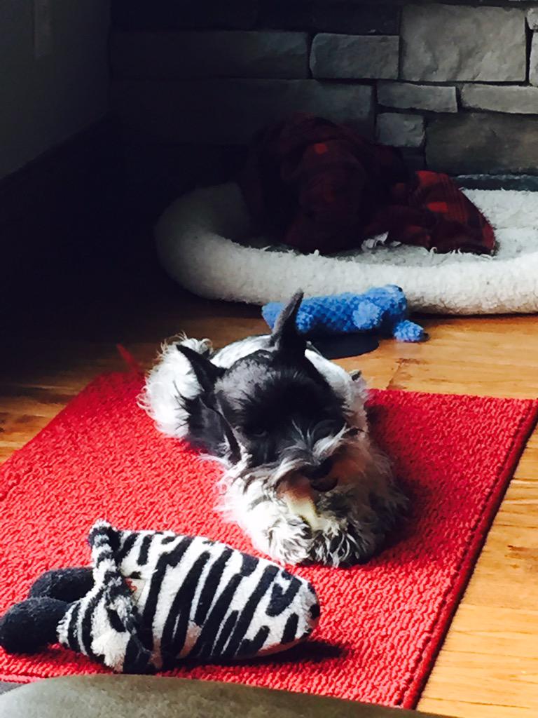 Breakfast with my boy