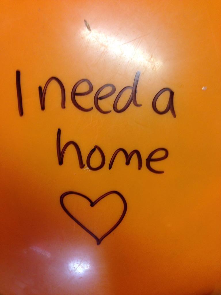 bossagames's tweet image. Our first member of staff needs a home - adopt him in #Shoreditch #OldSt #EastLondon now, before we pop him!