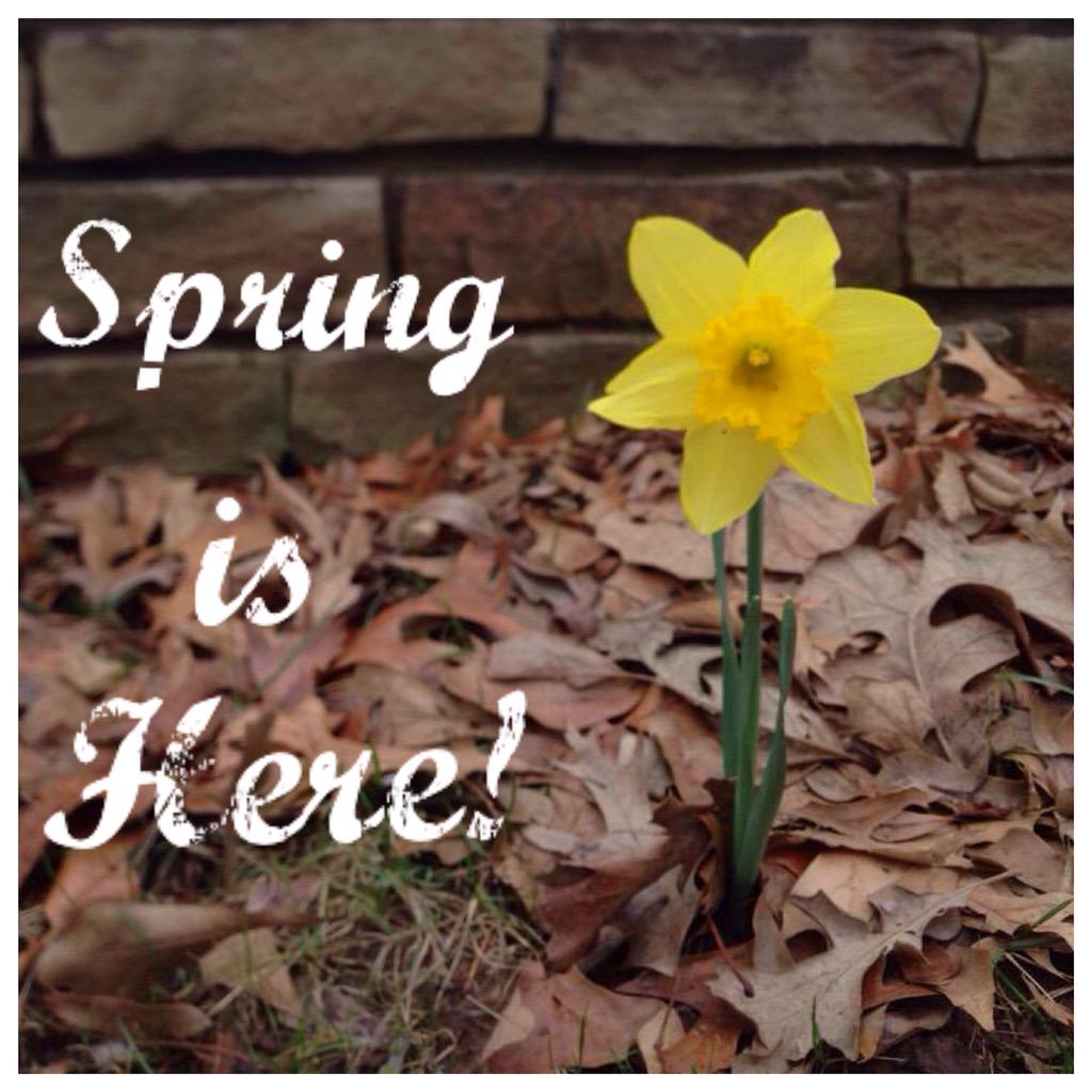 Philbrook's tweet photo. Spring is here! Stop by and see us. Make #springbreak a #philbreak. FREE ADMISSION for kids every day! http://t.co/scotCPjhcR