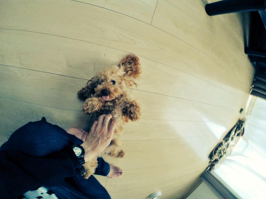 7YOSSHI7's tweet photo. 【YOSSHI×ボール×スピーカー=旅】

宮崎のフリースタイルフットボーラーのマルさんと練習からのフリースタイルバスケットボーラーのダルくんも合流してご当地チキン南蛮を食す。美味♪からの練習してマルさん家に宿泊☆

#44旅 http://t.co/0aW0R8Hx1Z