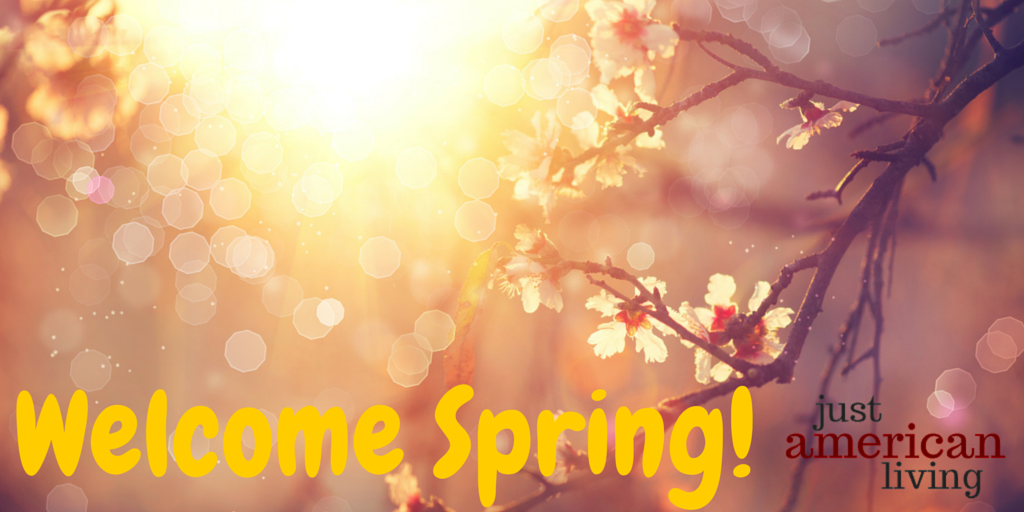 JustAmericanLiv's tweet photo. Yippee!  It's finally here!  #Spring - glorious SPRING! http://t.co/92kH9P67cY
