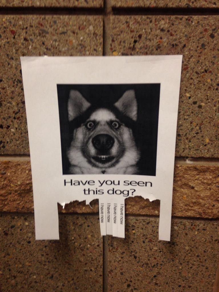 IM FUCKING CRYING WHO MAKES THESE