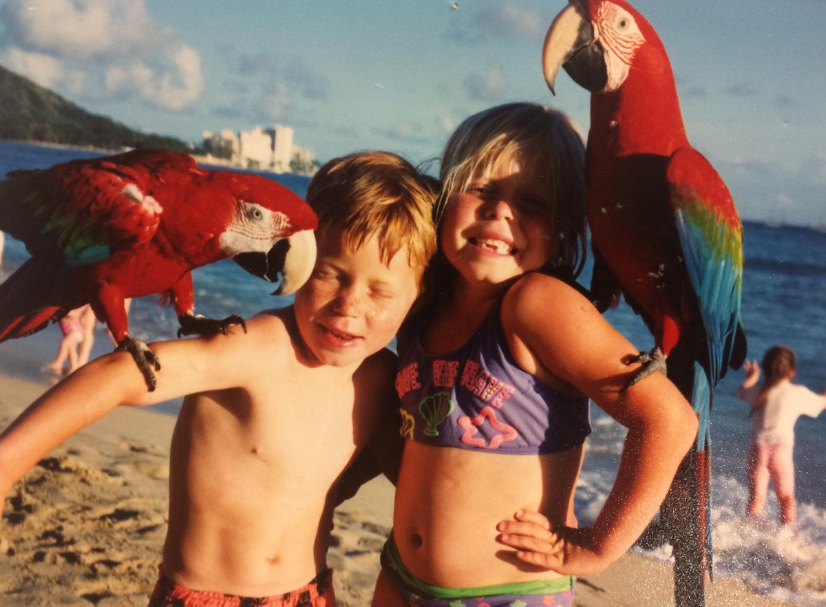 Shaun White tweet media