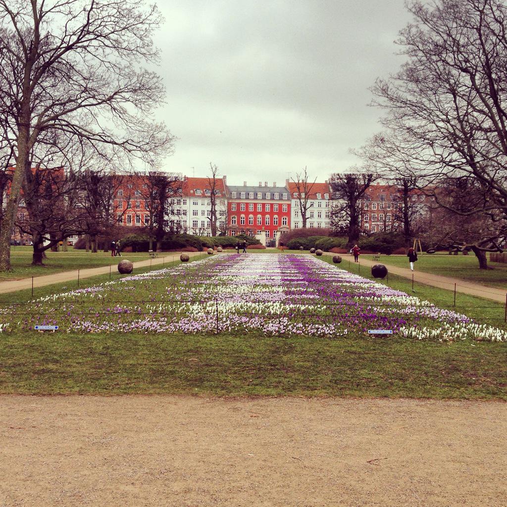ImogenOates's tweet photo. Copenhagen.... A city of art and inspiration.. #georgjensen #royalgardens #museumoffineart beautiful!!! http://t.co/lVukKN7pZN