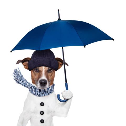 Drop_Stopper's tweet photo. Happy first day of #spring, don't forget your umbrella! http://t.co/KXXdoRI31b