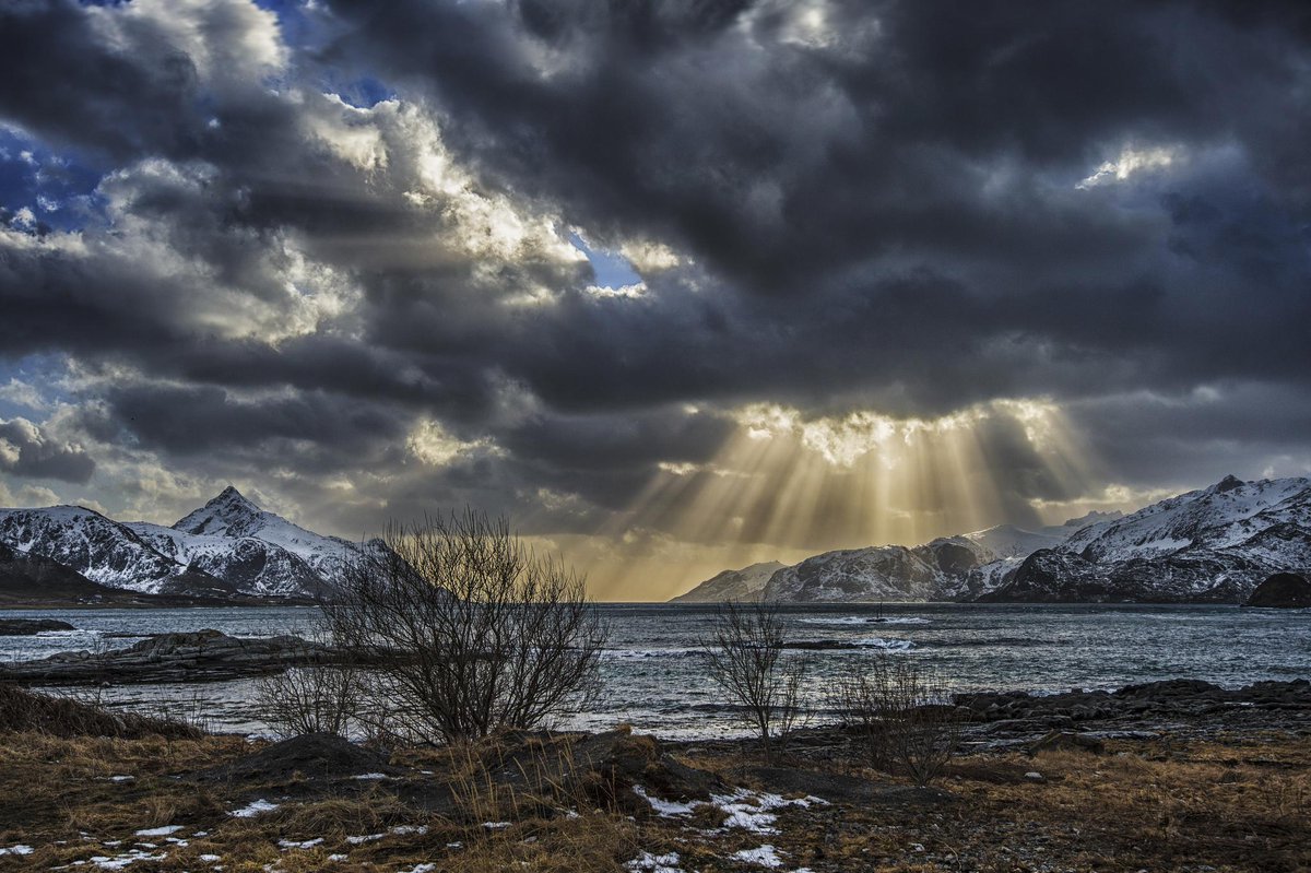 StyleLifeCity's tweet image. When the light is coming, Happiness comes #InternationalDayOfHappiness Photo: Stein Liland flic.kr/p/rE8oNQ